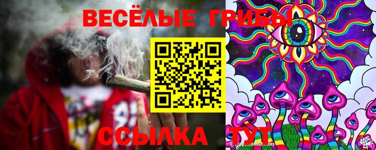 Галлюциногенные грибы GOLDEN TEACHER  Вход с VPN  Улан-Удэ  Псилоцибиновые грибы Psilocybine cubensis 